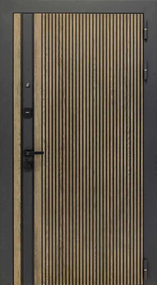 Входная дверь ДвериПРО Rosna ФЛ-256 (10мм, бетон пепельный) DPRO197942 внешняя сторона